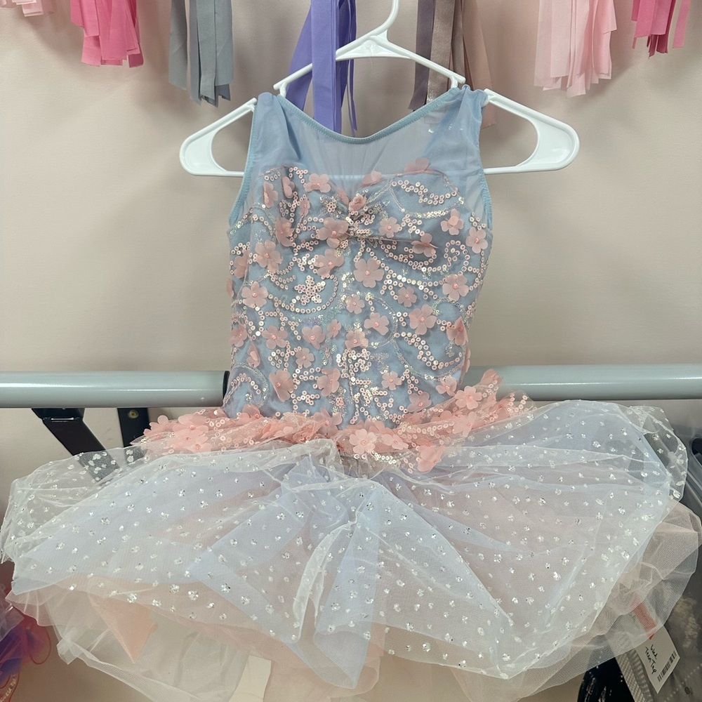 Floral Embellished Blue and Pink Kids Ballet Costume Dress
